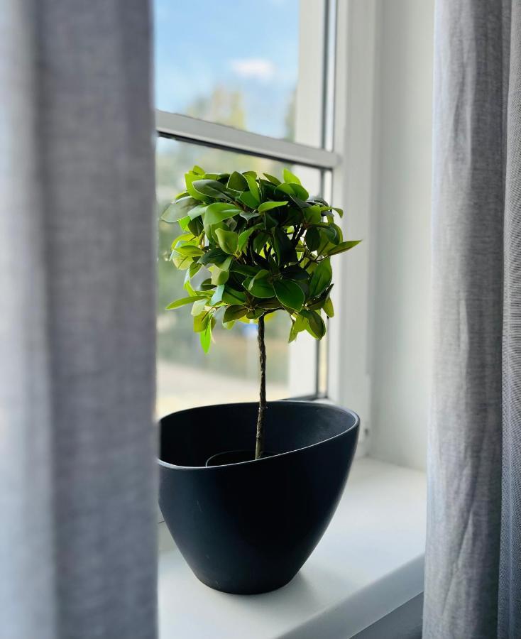 Apartamento Leo6